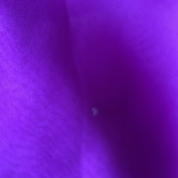 Clarisse Berry High Low strapless Prom Gown with Gemstones 9/10 - Picture 16 of 16